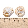 Opaque Acrylic Links Connector Charms SACR-K005-09-3