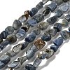 Natural Kyanite Beads Strands G-P497-01E-40-1