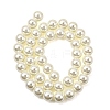 Eco-Friendly Dyed Glass Pearl Round Beads Strands HY-A002-10mm-RB011-5