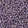MIYUKI Round Rocailles Beads SEED-JP0008-RR1012-3