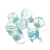 Transparent Glass Beads LAMP-B021-03B-02-1