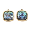 Natural Paua Shell Pendants SA-CBA11D7-14B-G-1