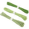 3 Bundles 3 Colors  Twisted Paper Cord DIY-CP0012-06A-1