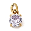 Birthdaystone Theme June 304 Stainless Steel Charms STAS-B128-60G-06-1