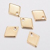 304 Stainless Steel Charms STAS-H436-53-1