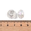 Transparent Glass European Beads GPDL-N004-D14mm-A01-3