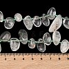 Natural Green Lodolite Quartz Beads Strands G-P604-A20-01-3