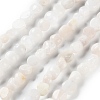 Natural Rainbow Moonstone Beads Strands G-P497-01C-63-1