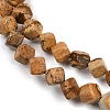 Natural Picture Jasper Beads Strands G-A257-A21-01-4