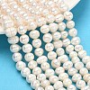 Natural Cultured Freshwater Pearl Beads Strands PEAR-L034-10A-1