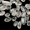 Natural Green Lodolite Quartz Beads Strands G-P604-A20-01-4