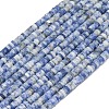 Natural Blue Spot Jasper Beads Strands G-P575-B34-4x1mm-2