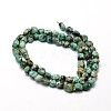 Natural African Turquoise(Jasper) Nuggets Beads Strands G-J335-43-2
