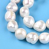 Natural Cultured Freshwater Pearl Beads Strands PEAR-G007-14-01-4