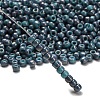 TOHO 6/0 Round Beads X-SEED-TR06-1206-2