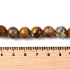 Natural African Opal Beads Strands G-S390-06-10mm-5
