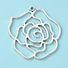 Tibetan Style Alloy Pendants LS-LF10554Y-1