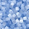 Glass Seed Beads X1-SEED-H002-D-A813-3