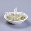 Natural Quartz Crystal Home Display Decorations DJEW-L015-02F-1