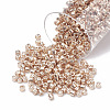 MIYUKI Delica Beads SEED-S015-DB-0433-1