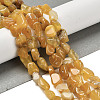 Natural Gemstone Beads Strands G-P497-01E-14-2