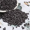 Baking Paint Glass Seed Beads SEED-S042-05A-24-1