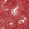 TOHO Japanese Seed Beads SEED-K007-1.5mm-25-2