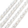 Electroplate Glass Beads Strands EGLA-A037-J6x8mm-B01-1