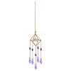 Metal Hanging Ornaments PW-WG80348-05-1