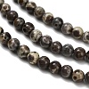 Natural Astroite Jasper Beads Strands G-F814-A01-4mm-4
