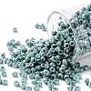 TOHO 8/0 Round Beads SEED-TR08-1207-1