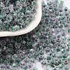 Glass Seed Beads SEED-A032-01I-1