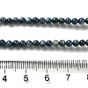 Natural Freshwater Shell Beads Strands X-SHEL-H003-03C-4