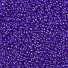 MIYUKI Round Rocailles Beads X-SEED-G007-RR0176-3