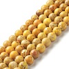 Natural Imperial Jasper Beads Strands G-I122-8mm-23-1