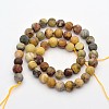 Frosted Round Natural Crazy Lace Agate Beads Strands G-E302-103-8mm-2