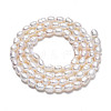 Natural Cultured Freshwater Pearl Beads Strands PEAR-N012-03B-2