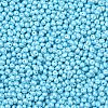 6/0 Glass Seed Beads X1-SEED-L011-08A-13-3
