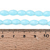 Opaque Solid Color Glass Beads Strands GLAA-N071-01A-C06-4