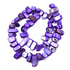 Natural Trochid Shell/Trochus Shell Beads Strands SHEL-S258-082-B02-2