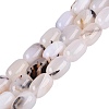 Natural Agate Beads Strands G-Q606-97B-04-2