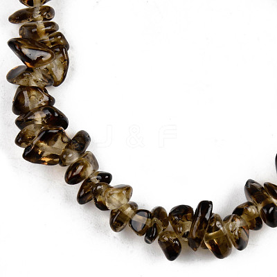 Unisex Chip Natural Quartz Crystal Beaded Stretch Bracelets BJEW-S143-36-1-1
