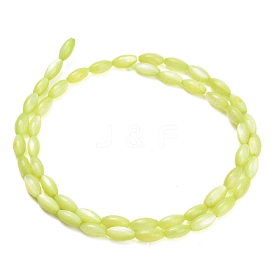 Natural Freshwater Shell Beads Strands SHEL-C010-01D-1