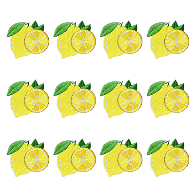 12Pcs Computerized Embroidery Polyester Iron on/Sew on Patches DIY-MA0007-24-1