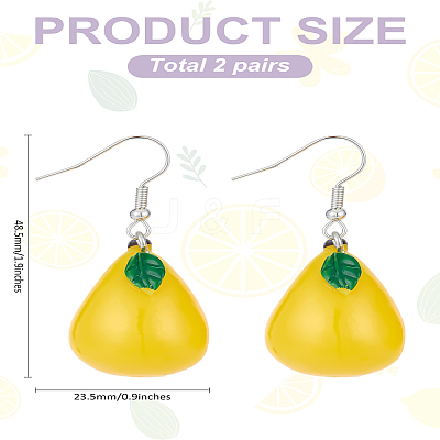 2Pairs Plastic Dangle Earrings EJEW-LP0001-29-1