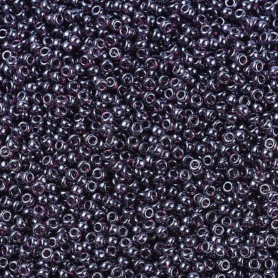 MIYUKI Round Rocailles Beads X-SEED-G007-RR0170-1