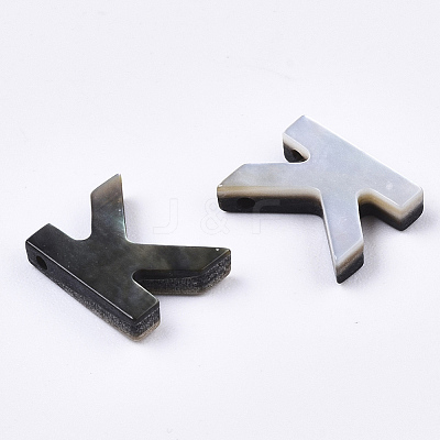 Natural Black Lip Shell Beads LS-SSHEL-S265-001K-1