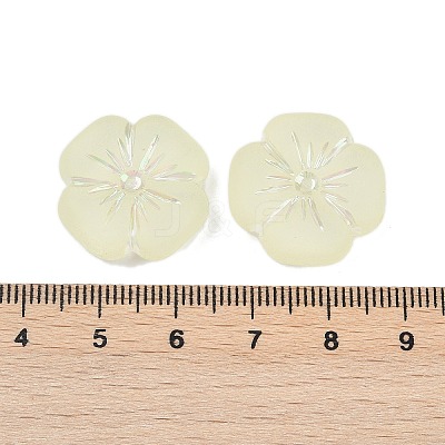 Frosted Transparent Acrylic Beads OACR-P029-19B-03-1