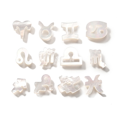 12Pcs 12 Styles Natural White Shell Beads BSHE-Z008-12-1