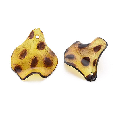 Transparent Acrylic Pendants X-TACR-N006-31-1